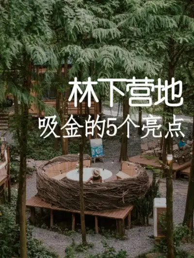 国外林下营地值得借鉴的5个亮点 #小院改造 #小院时光 #氛围感 #网红打卡地 #天雅设计