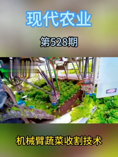 机械臂蔬菜收割技术 #智慧农业 #三农服务 #种植 #绿色种植 #三农
