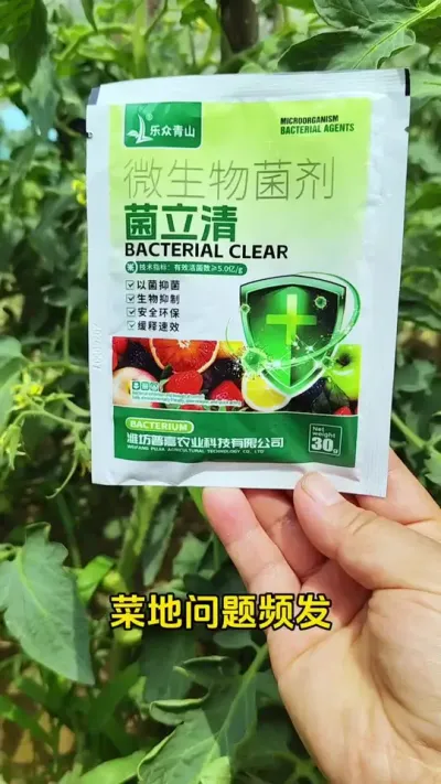 厂家直发（超值9.9元 5包）作物专用叶面肥#菌立清#农业种植 #番茄种植 #病害防治