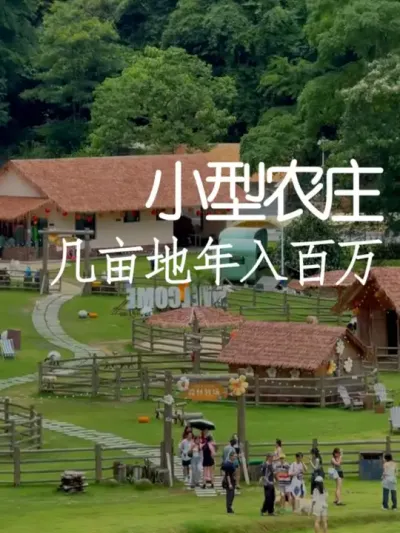 小型农庄怎么打造才能赚钱？ #小院改造 #小院时光 #氛围感 #网红打卡地 #天雅设计