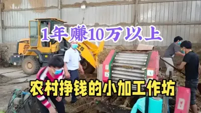 农村作坊式小本加工，年纯赚10万以上，夫妻2人就能干，成本低 #农村创业 #加工小作坊 #农村致富好项目 #三农 #农业知识