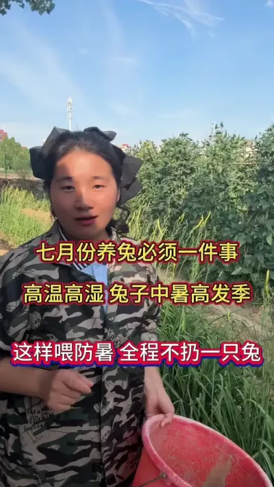 夏季兔子怕热，有什么表现，如何防暑降温，全程不扔一只兔子#养兔人 #肉兔养殖 #兔子养殖
