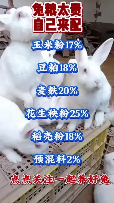 兔粮太贵 自己来配#兔子 #养兔人 #养兔经验分享 #肉兔养殖 #养兔子注意事项