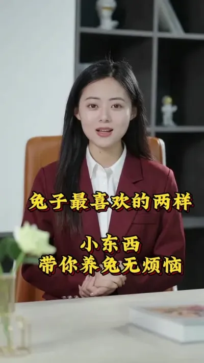 兔子最喜欢的两样小东西，带你养兔无忧#养兔人 #兔子 #肉兔 #养兔子注意事项 #科学养兔