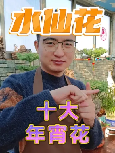 十大最受欢迎的年宵花之水仙花！ #养花  #年宵花  #水仙