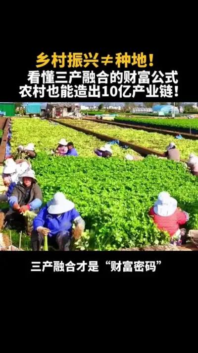乡村振兴绝不是让你回农村种地，10亿产业链 #乡村振兴 #农业 #三产融合 #乡村产业 #补贴
