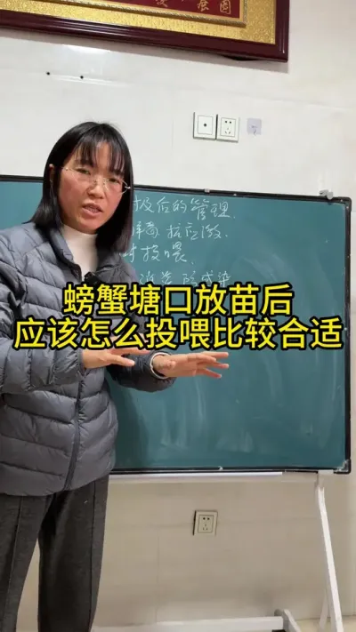 螃蟹塘口放苗后，应该怎么投喂比较合适！！！！ #渔多多养殖模式 #河蟹养殖 #三农 #水产养殖 #大闸蟹养殖