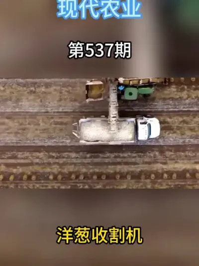 荷兰怎么收割百亩洋葱的？一次10行，村里有它，一个顶20人 #现代农业机械 #服务三农支持三农 #抖音助农扶农 #新农人计划 #农业