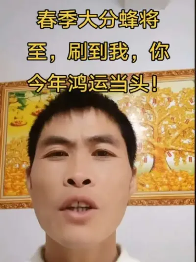 #内容启发搜索 #谌蜜 #诱蜂 #养蜂技术分享 @抖音小助手 @DOU+小助手