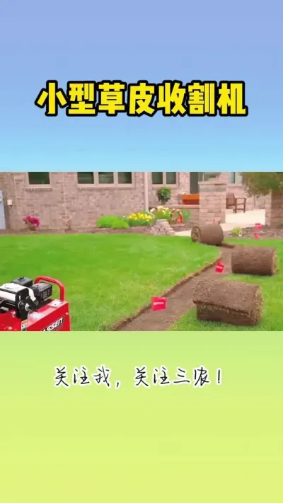 小型草皮收割机 #草皮种植 #草皮收割机 #草皮