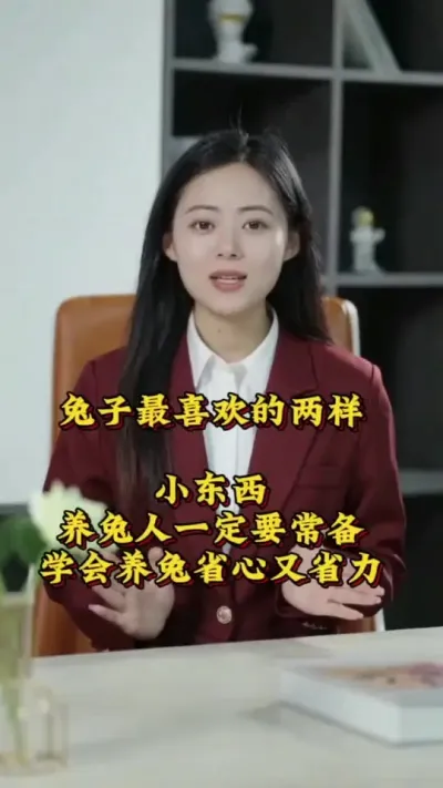 兔子最喜欢的两样小东西，养兔人一定要常备，学会养兔轻松又省力#兔子 #养兔人 #养兔子注意事项 #肉兔养殖 #抖音热点宝
