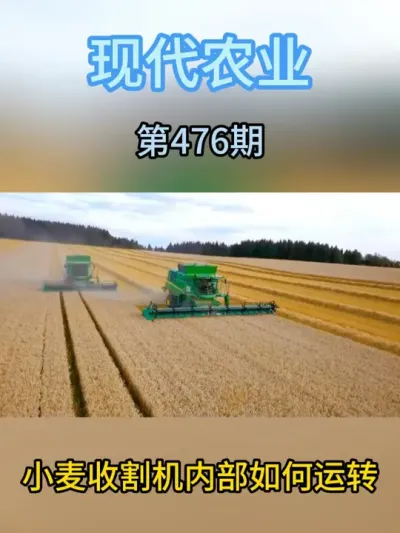 小麦收割机内部是如何运转的，你知道吗？ #现代农业机械 #农业种植 #助力三农 #抖音助农 #抖音农机