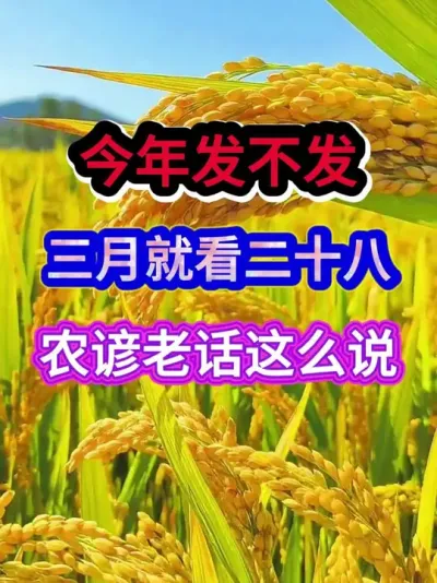 今年发不发三月就看二十八农谚老话这么说 #农业谚语 #农业天气谚语 #农谚 #农业种植 #三农
