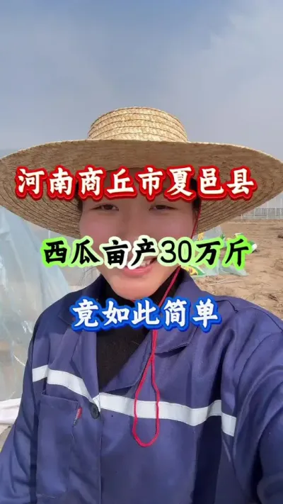 西瓜种植 西瓜亩产30万斤竟如此简单#西瓜种植#西瓜管理#西瓜高产#种西瓜#膨大增甜