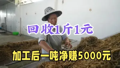 农村很多人不知道的&ldquo;暴利&rdquo;生意，1元回收，加工一吨赚5000 #抖音助农 #农业种植致富项目 #三农 #新农人计划 #农村创业