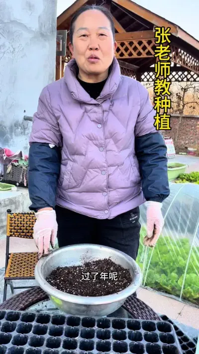 辣椒茄子西红柿又开始育苗了#关注我每天分享种植知识 #关注我一起学种菜 #每天分享蔬菜种植技巧