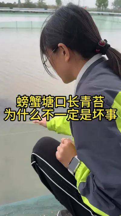 螃蟹塘口长青苔为什么不一定是坏事！！！ #渔多多养殖模式 #新农人计划2025 #三农 #水产养殖技术 #大闸蟹养殖