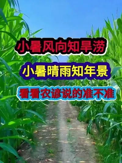 小暑风向知旱涝小暑晴雨知年景听听老话说的准不准 #农业谚语 #农谚 #农谚老话 #农业种植 #三农