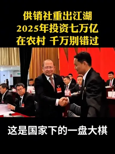供销社重出江湖2025年投资七万亿在农村千万不要错过#乡村振兴#乡村扶持#休闲农业#家庭农场#供销社