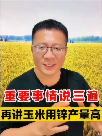 重要的事情说三遍，玉米用锌肥产量高！ #玉米底肥 #玉米高产种植技术 #玉米高产 #玉米种植 #包地大户