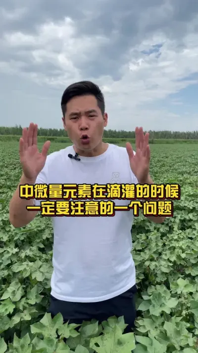 中微量元素在滴灌的时候一定要注意的一个问题 #中微量元素 #棉花种植专家讲座 #关注我每天分享种植知识 @抖音小助手