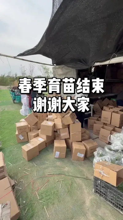 春季育苗工作终于结束了，谢谢大家的支持 