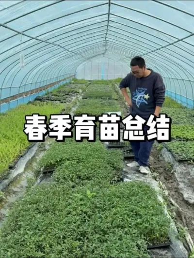 春季育苗总结，瓜果苗什么时候有 
