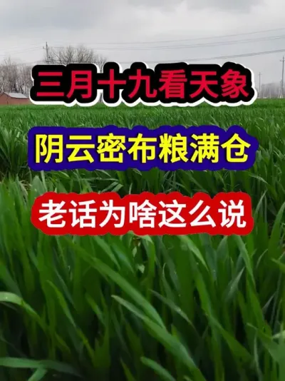 三月十九看天象阴云密布粮满仓老话为啥这么说 #农业谚语 #农谚 #农谚老话 #农业种植 #分享农业知识帮农民增产增收