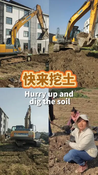 快来挖土 养了三年没有用一粒化肥，没用一滴化学农药，疏松透气，我要不完，离得近的都来挖。#土壤改良 #我的小菜园  #种植小技巧 #阳台种菜 #露台种菜