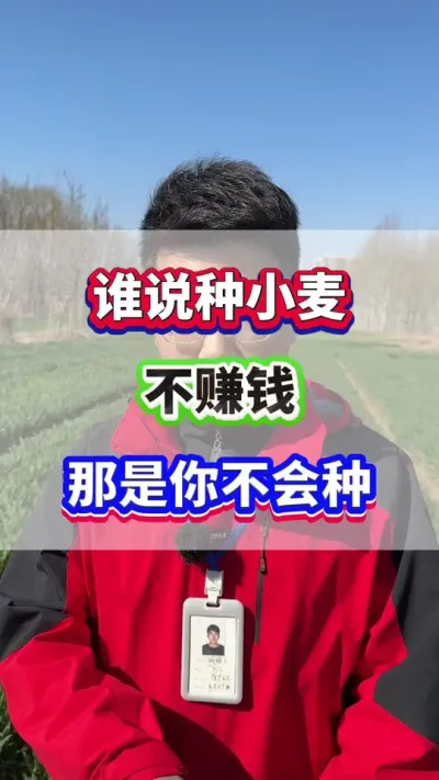 谁说种小麦不赚钱？那是你不会种！#小麦高产  #小麦种植  #小麦种植管理技术  #小麦一喷三防