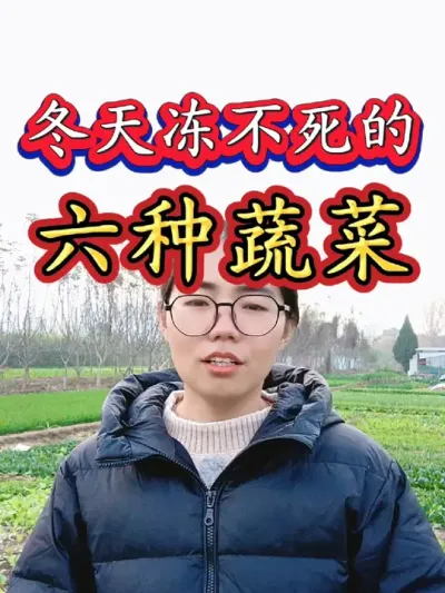 冬天冻不死的蔬菜都有哪些呢？耐寒蔬菜有哪些#冬季蔬菜 #耐寒蔬菜 #三农 #农业 #抖音助农