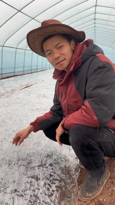 你们关注我用口播的辣椒种子开始发芽了🌱#记录我的种植生活 #返乡创业新农人