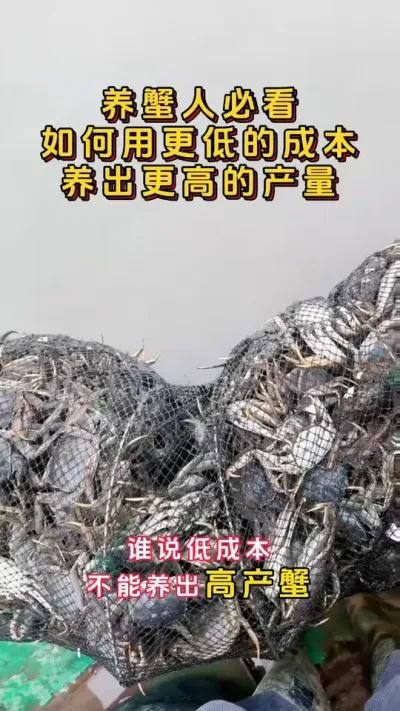 养蟹人必看，如何用很低的成本，养出高产量蟹。#大闸蟹养殖 #鱼虾蟹养殖 #河蟹养殖 #螃蟹养殖 #三农 @DOU+小助手