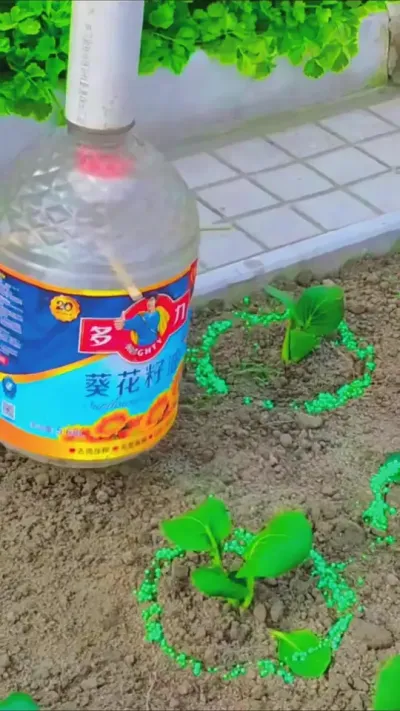 这样施肥不伤苗 #农业种植 #种植小技巧 #施肥神器 #劳动人民的智慧