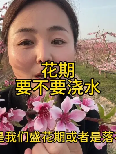 花期浇水那些影响 #传播农业小知识 #分享农业知识帮农民增产增收 #农业植保知识分享 #自家果园