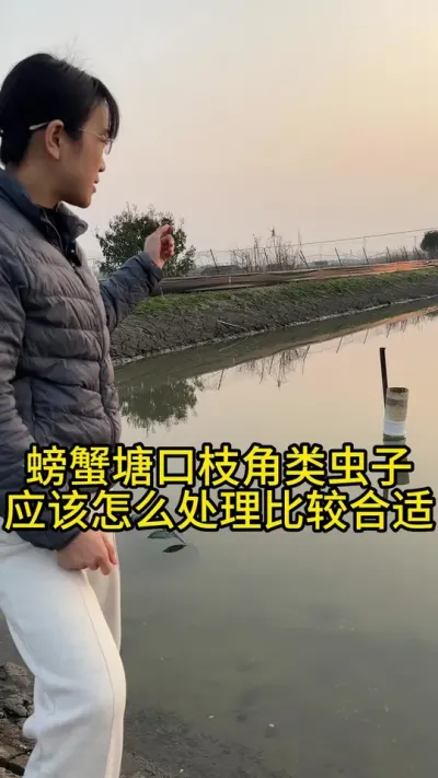 螃蟹塘口枝角类虫子应该怎么处理比较合适！！！ #渔多多养殖模式 #大闸蟹养殖 #水产养殖 #三农 #河蟹养殖