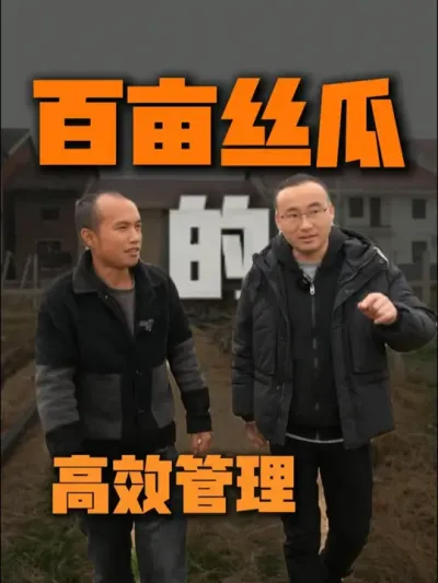 为300亩丝瓜基地老板提高施肥、管理、效率的神器！ #农业种植 #水肥一体化 #抖音助农 #三农 #灌溉