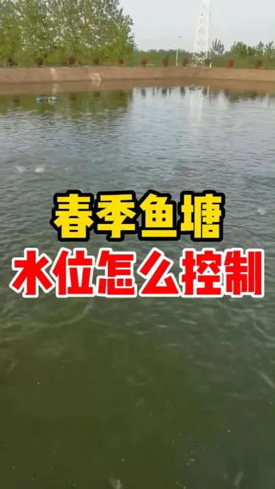 春季鱼塘水位怎么控制 #水产养殖 #养鱼 #养鱼人 #鱼塘 #水产技术