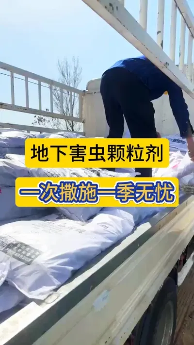 每一次成交，都是客户的认可，客户的认可，才是企业生存的基石！#红薯种植 #地下害虫防治 #薯帮主地下害虫颗粒剂 #服务三农支持三农 #新农人计划