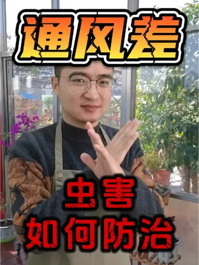 通风差，花草容易生虫怎么办？ #养花 #花生虫 #呋虫胺