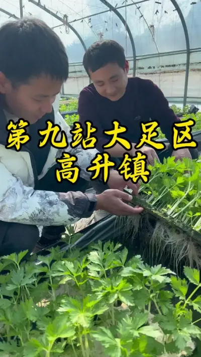 今天来到大足区高升镇，这里有很多特色产业，值得我们学习！#大足 #返乡创业新农人 #记录我的种植生活
