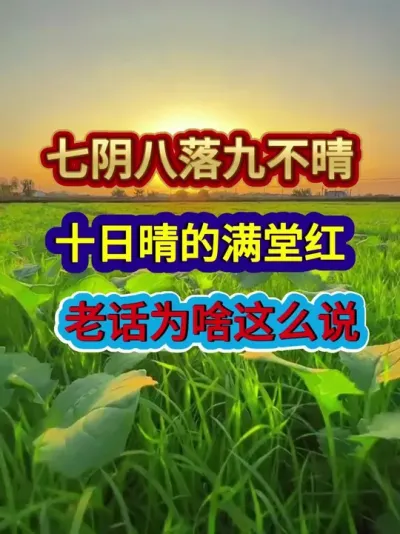 七阴八落九不晴十日晴的满堂红老话为啥这么说 #农业谚语 #农谚老话 #农业天气谚语 #农业种植 #三农