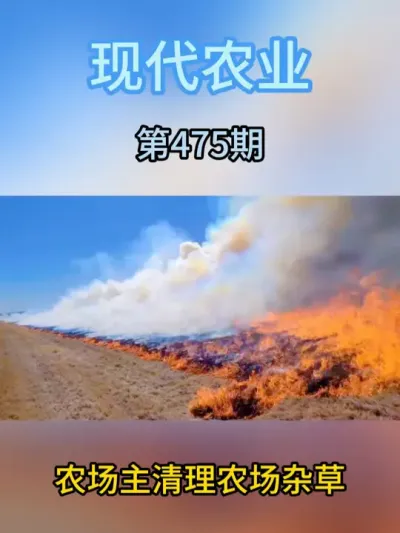 农场主清理农场杂草 #农业种植 #农业种植技术 #农场主 #杂草防除 #杂草