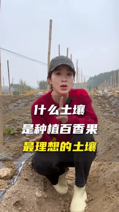 什么样的土壤是种植百香果的理想土壤#百香果 #百香果种植技术 #抖音助农