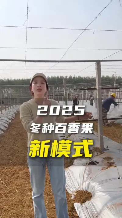 种植哪有什么固定模式，都是在不断探索，不断改进。#百香果#百香果种植技术#抖音助农