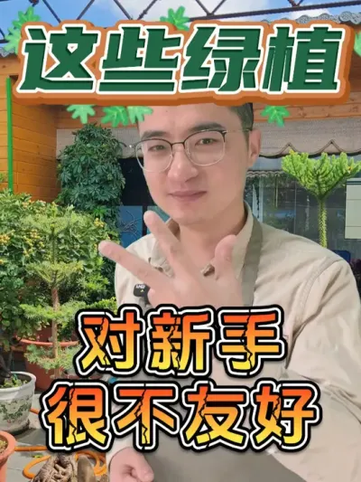 对新手非常不友好的几款绿植，你知道几个？ #养花  #花卉绿植  #养花小知识
