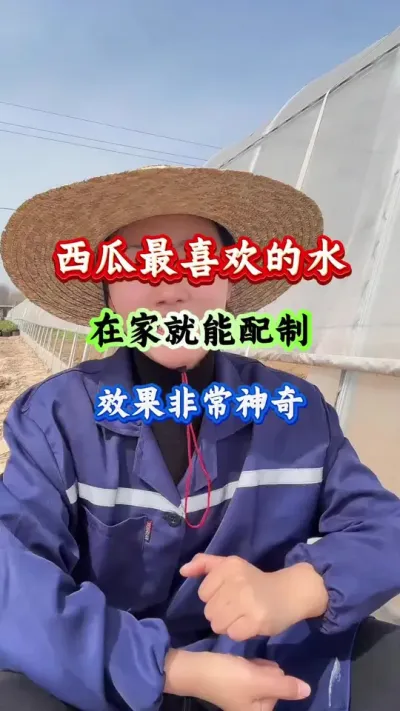 西瓜种植 西瓜最喜欢的水在家就能配制效果非常神奇 #西瓜种植 #西瓜管理 #西瓜高产