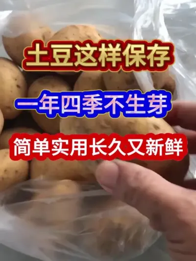 土豆这样保存一年四季不生芽简单实用长久又新鲜 #土豆保存方法 #土豆种植 #农业种植 #三农 #分享农业知识帮农民增产增收