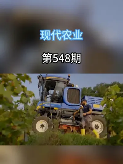 国外的甘蔗怎么收呢，一台机器，就能一天收完上百亩，看完你也想 #现代农业机械 #农业种植 #服务三农支持三农 #科技赋能让春耕更智慧 #抖音助农