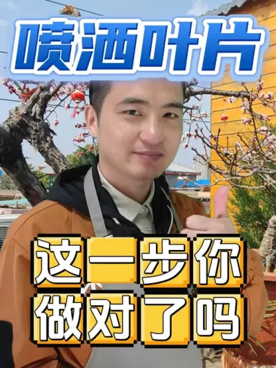 叶面喷施，这一步很多人都做错了！ #养花  #花卉绿植  #养花小知识